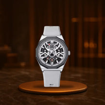 Ashford Arclane Men's Watch